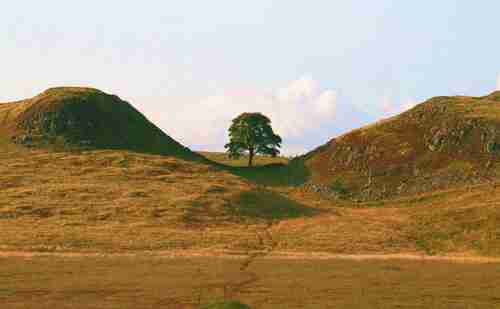Sycamore Gap